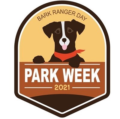 Bark Ranger Day Image
