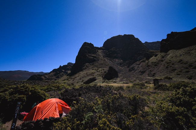 A bright orange tent sits in green vegetation and dark rocks.