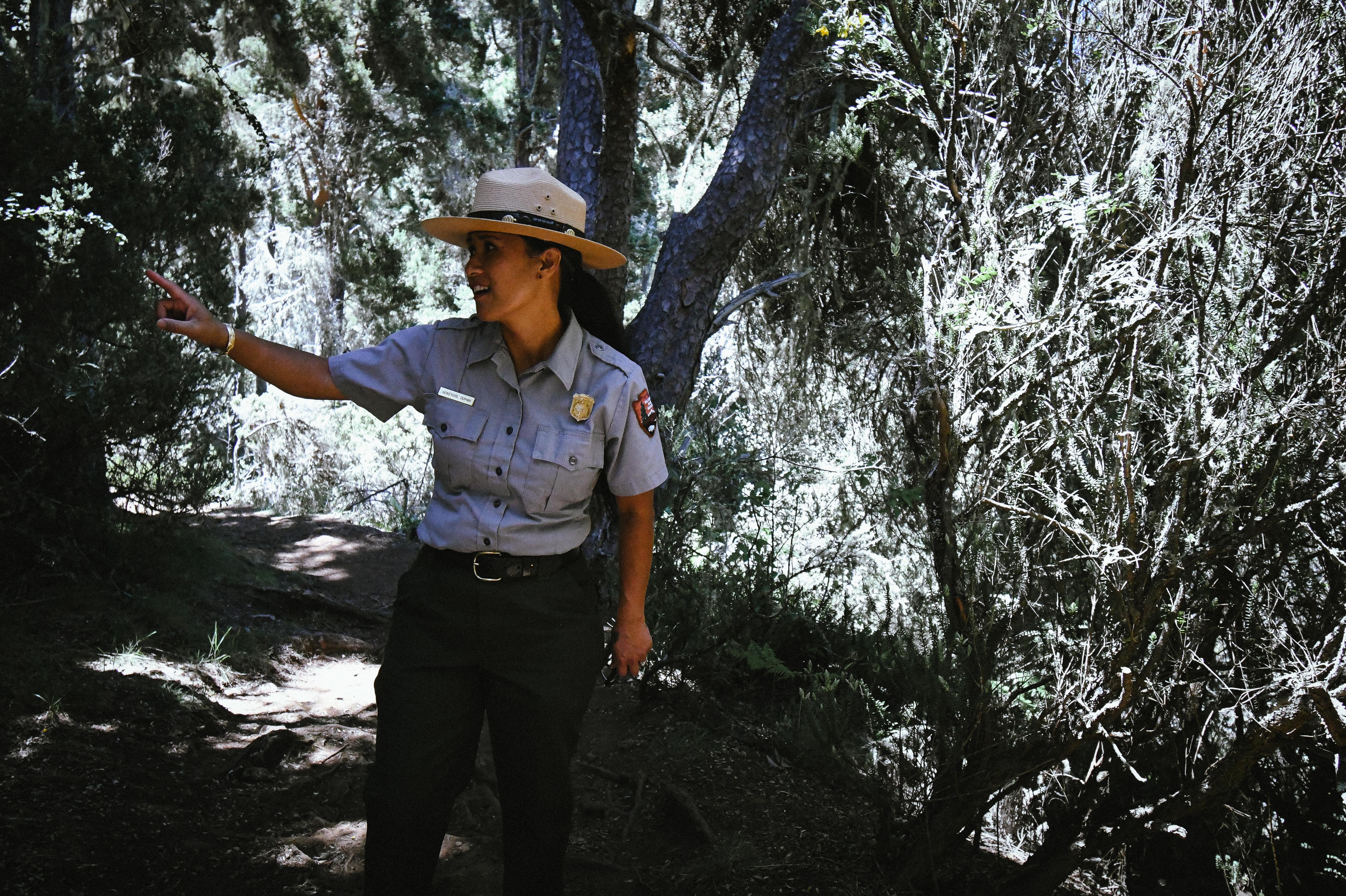 Gray and green uniformed park ranger leads a hike through a shadowy, green forest