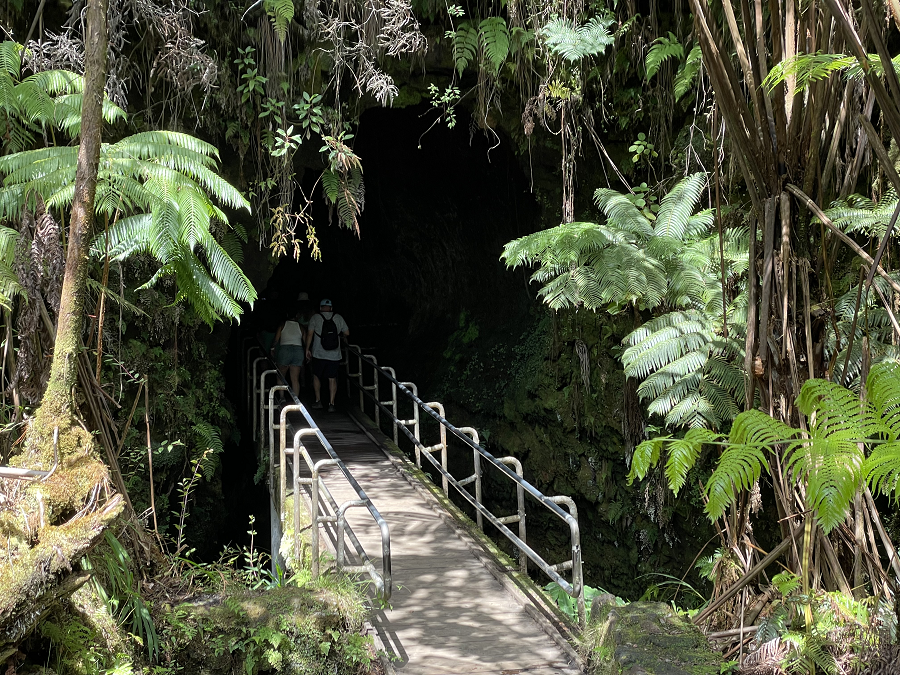 Visitors walking across a bridge into a dark cave opening surrounded by lush green vegitation.