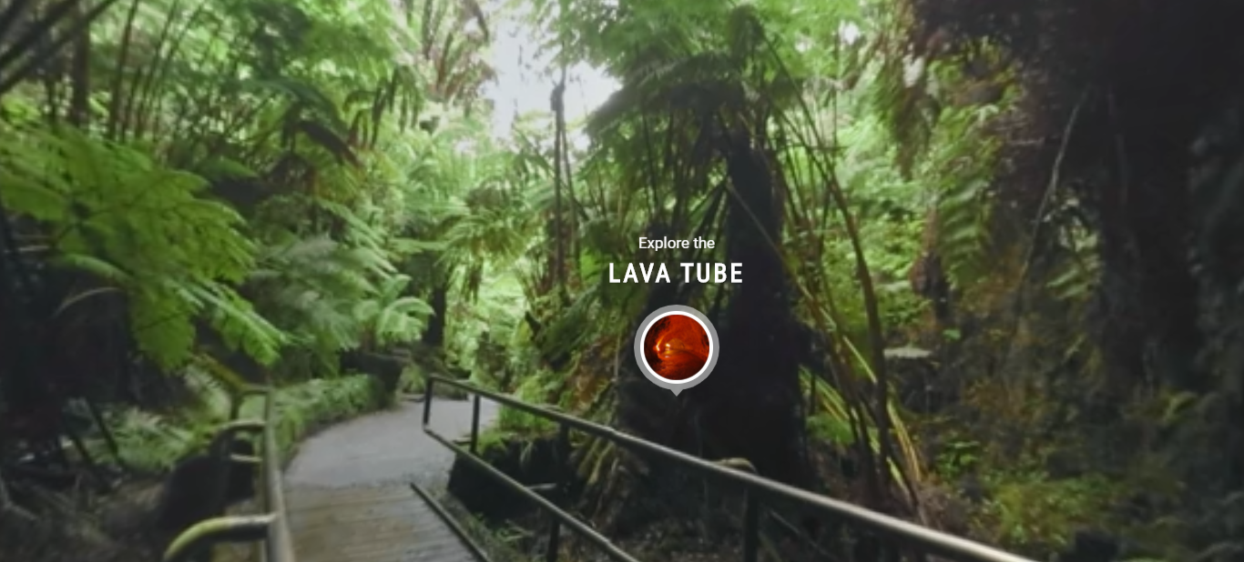 Screen capture from a virtual tour of a rainforest outside a lava tube