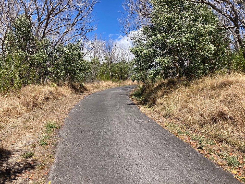 Dry grass and vegetation alongside a one-lane road under blue sky