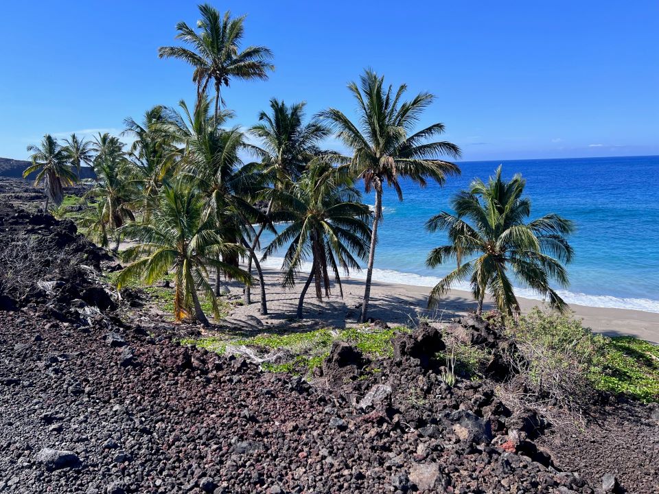 A pristine white sand beach framed in coconut palms and black lava rock