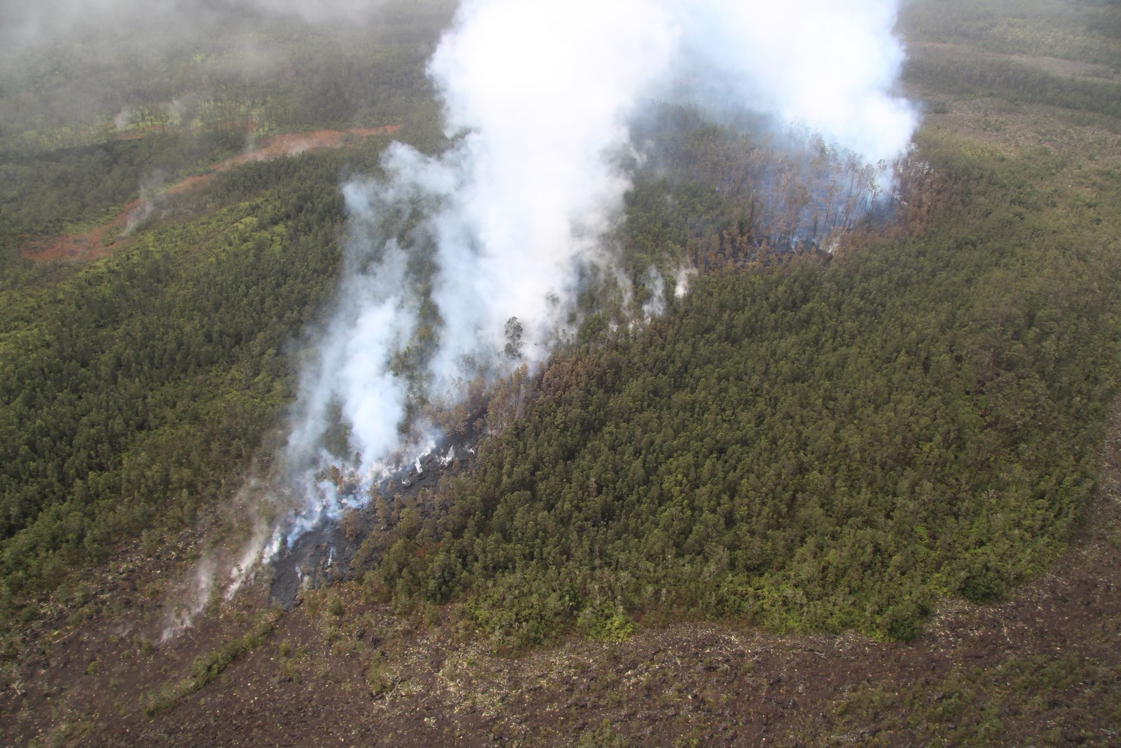 Arial view of forested area with plumes of smoke and steam rising from a burned area with new black lava rock.