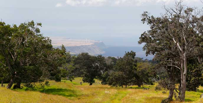 Views of Kahuku evoke creative inspiration