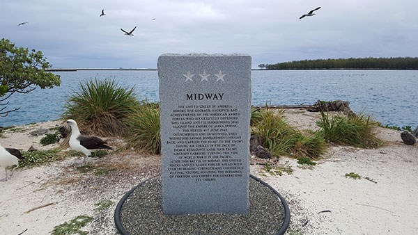 Midway Memorial Marker and Laysan Albatross on Midway Atoll