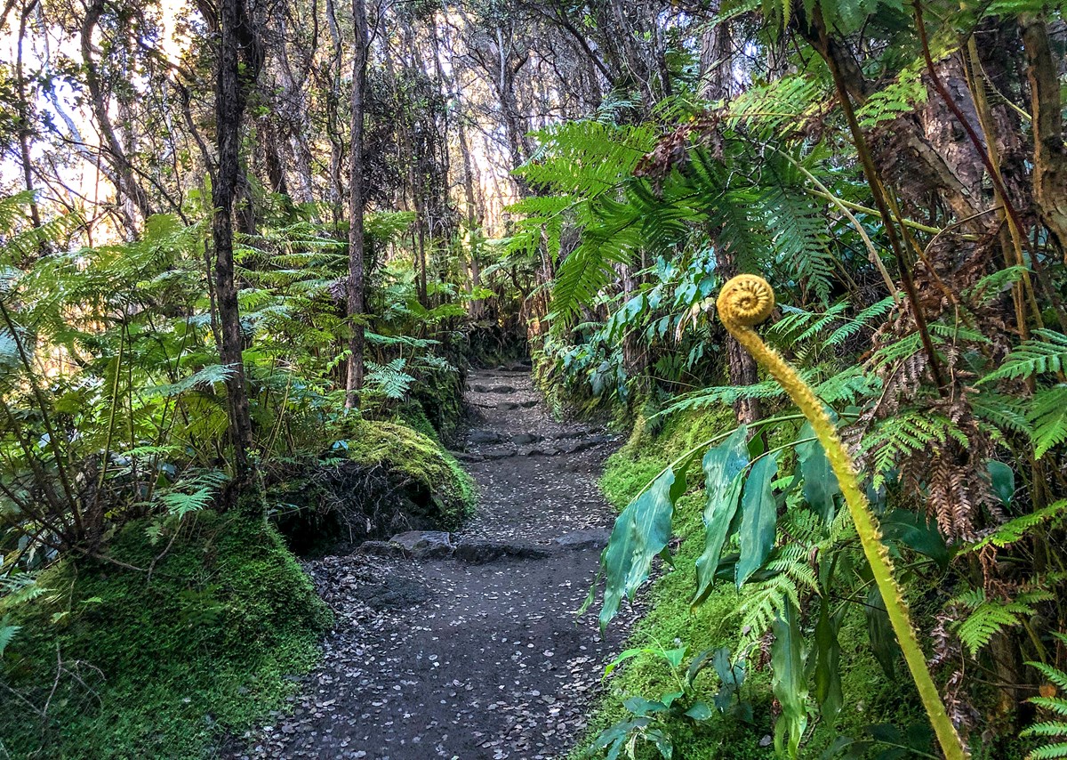 Day Hike Halema Uma U Trail Hawaiʻi Volcanoes National Park U S National Park Service