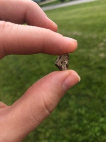 A person's hand holding a small rock between their forefinger and thumb