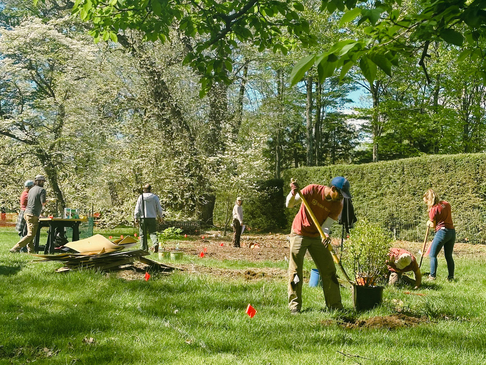 planting-the-wild-garden.jpg?maxwidth\u003d1300\u0026maxheight\u003d1300\u0026autorotate\u003dfalse