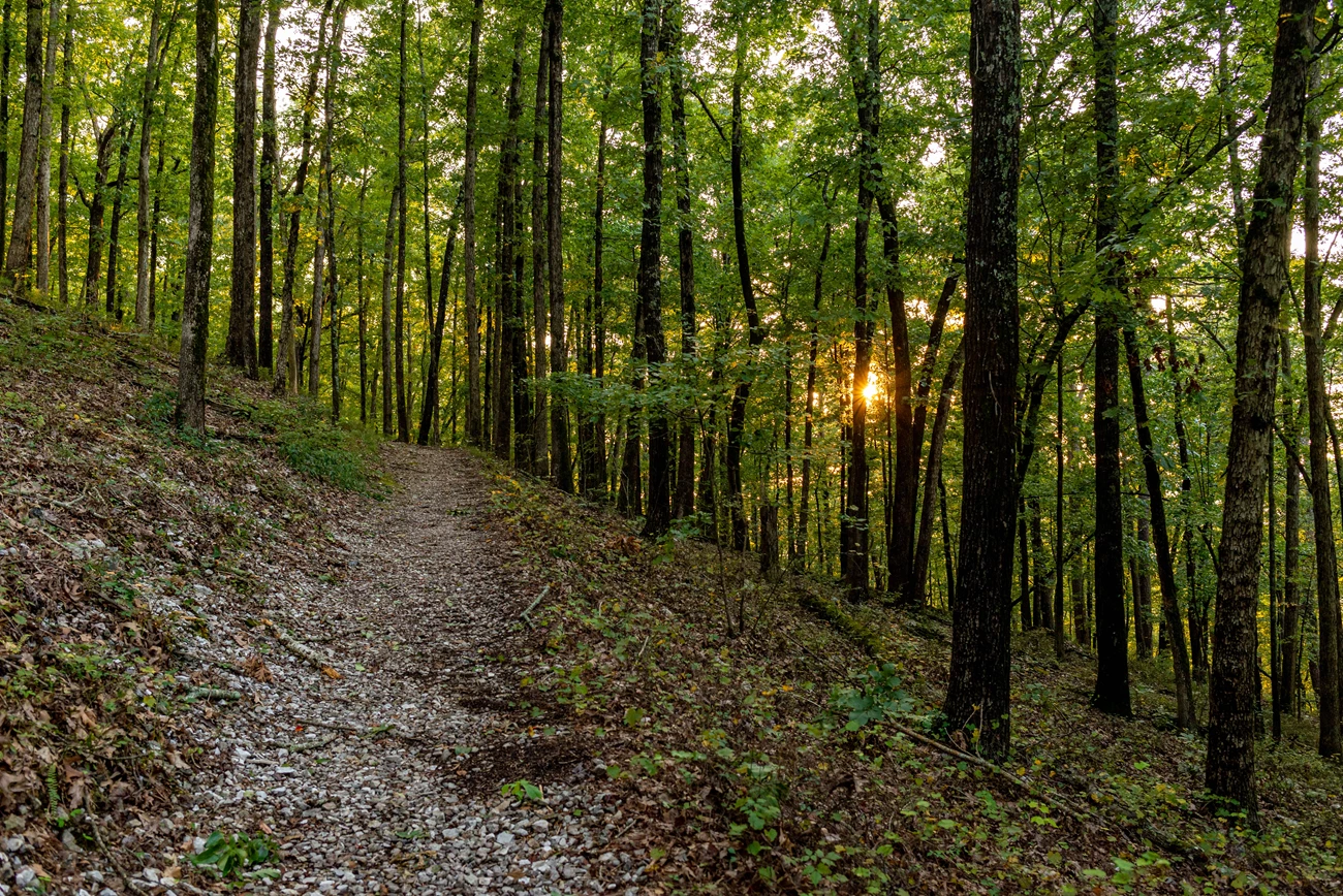 Sun on sunset trail The sun peeking out of trees on a mountain trail