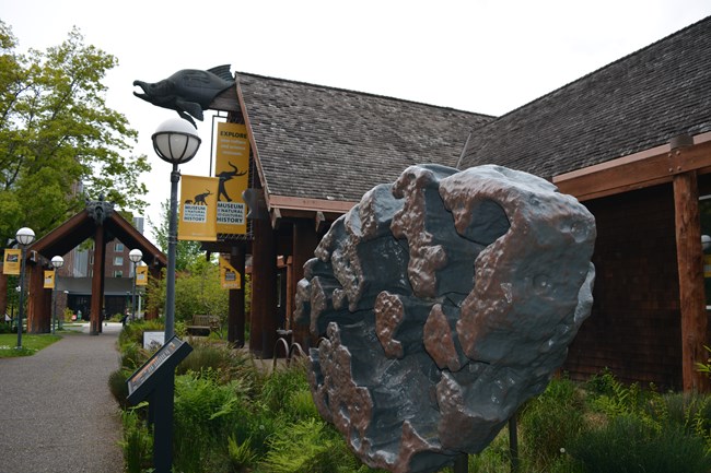 A large meteorite, brown with grey crevices, is displayed outside of a brown shingled building with signs for the Natural and Cultural History Museum.