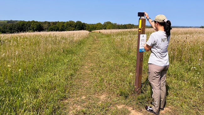 Photograph of person holding phone on top of post in front of a green field with tall grasses.