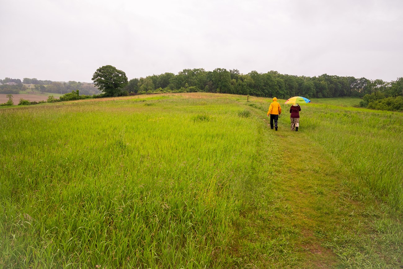 Photograph of hikers on a green grassy trail with trees in the background.