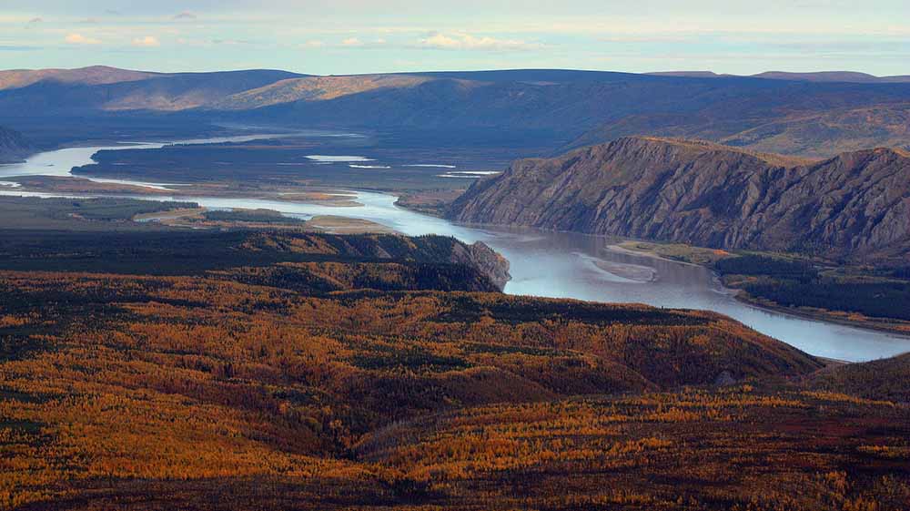 Lemming  Government of Yukon