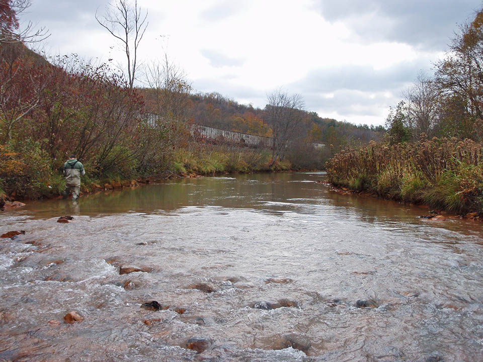 Streamside Bird Monitoring in Allegheny Portage Railroad National Historic  Site (U.S. National Park Service)