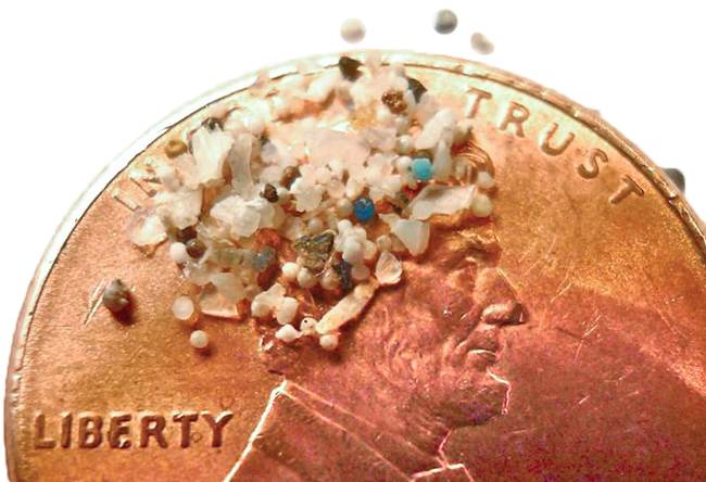 Microplastics scattered on part of a penny Microplastics scattered on part of a penny