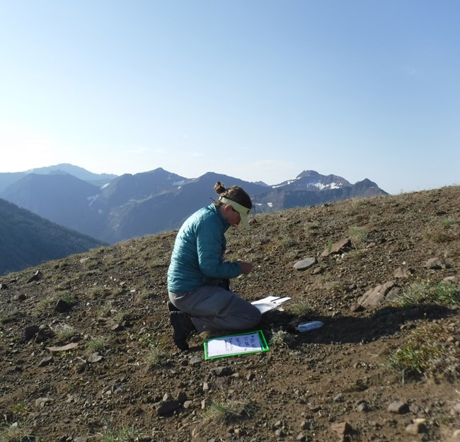 Replacing a GLORIA temp sensor Jacketed woman kneels on almost bare alpine slope holding a device.