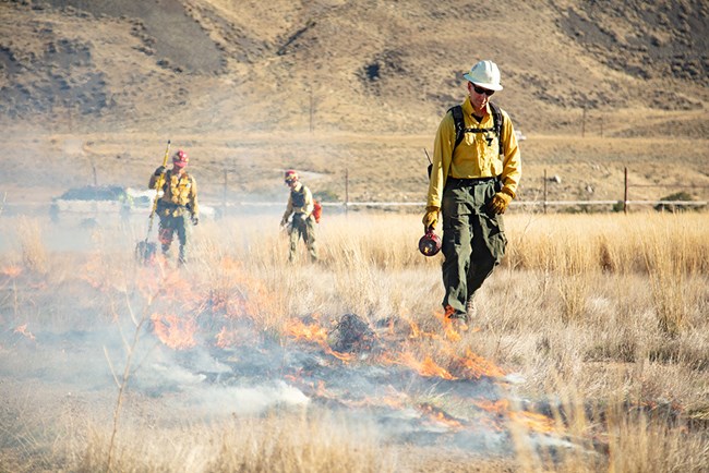 Firefighters light a prescribed burn in grasslands.