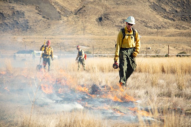 YELL_prescribedburn_NPSJacobFrank_web Firefighters light a prescribed burn in grasslands.