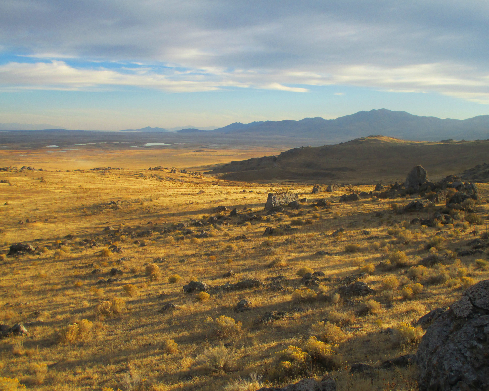 Vegetation Inventory and Map for Golden Spike National Historic Site (U ...