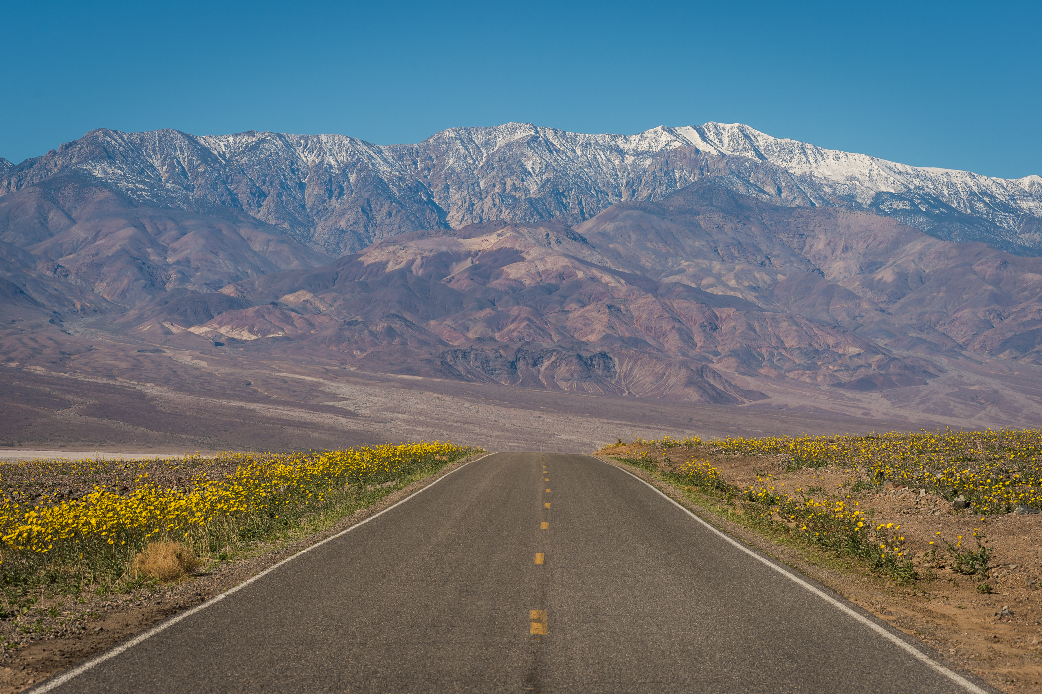 Погода в долине. Death Valley Blooms.