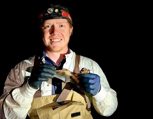 Casey Devine-Rosser, Wildlife Technician Nighttime photo of smiling man in protective clothing and gloves holding a bat with wing outstretched