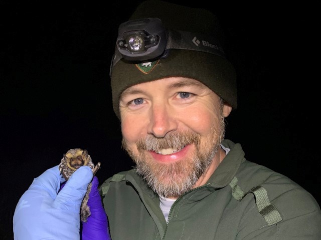 Allen Calvert, Network Program Manager Allen Calvert, Network Program Manager, holds a hoary bat (Lasiurus cinereus) in his gloved hand