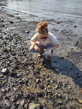 Scientist standing with instrument, looking down at the ground on rocky shore.