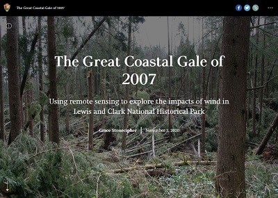 Screenshot of first page of Story Map showing trees toppled from windstorm.