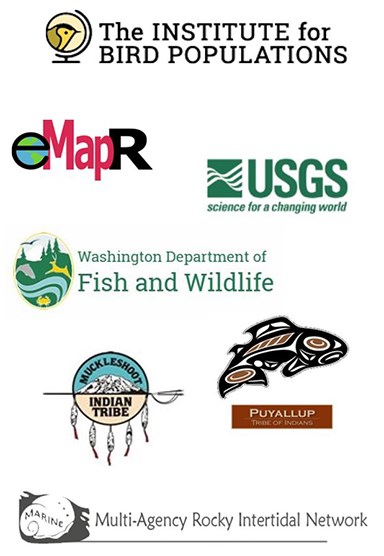 Image of the NCCN partner logos: USGS, Institute for Bird Populations, Muckleshoot and Puyallup Tribes, Multi-Agency Rocky Intertidal Network, Washington Dept. of Fish & Wildlife, Environmental Monitoring Analysis & Process Recognition Lab