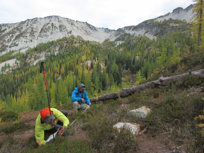 Two people kneeling in subalpine plot counting seedlings with vegetation in fall colors in background