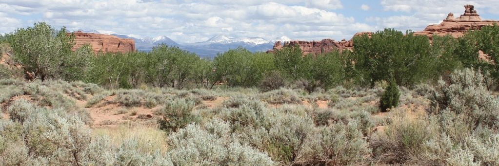 Red rock landscape with ribbon of riparian vegetation, sagebrush in foreground