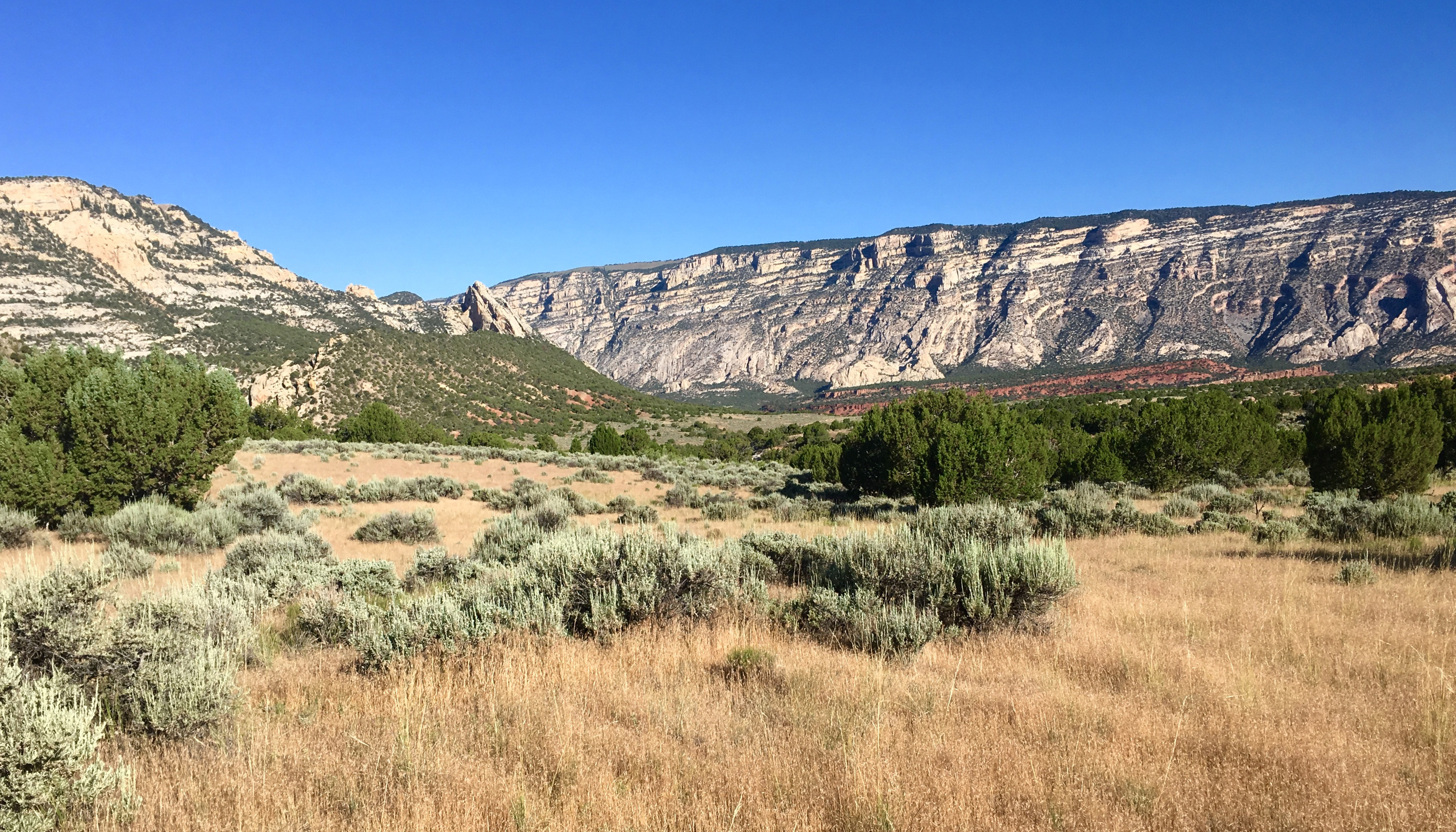 A landscape with pinyon-juniper woodlands interfacing with sagebrush communities in Dinosaur National Monument.