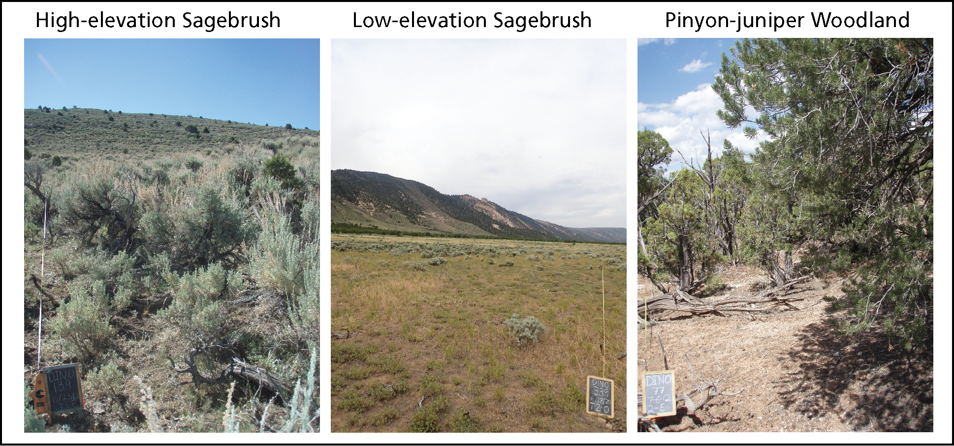 Pinyon-juniper woodlands, and high-elevation and low-elevation sagebrush images are shown in a collage of three separate photos.