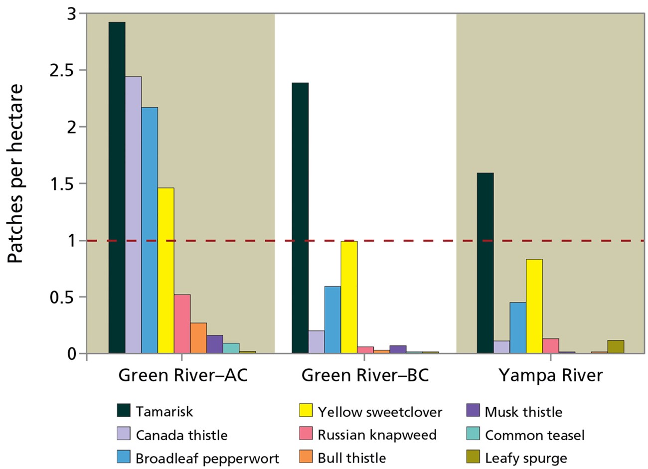 Graphic showing patches of invasive plants per hectare on the Green and Yampa rivers