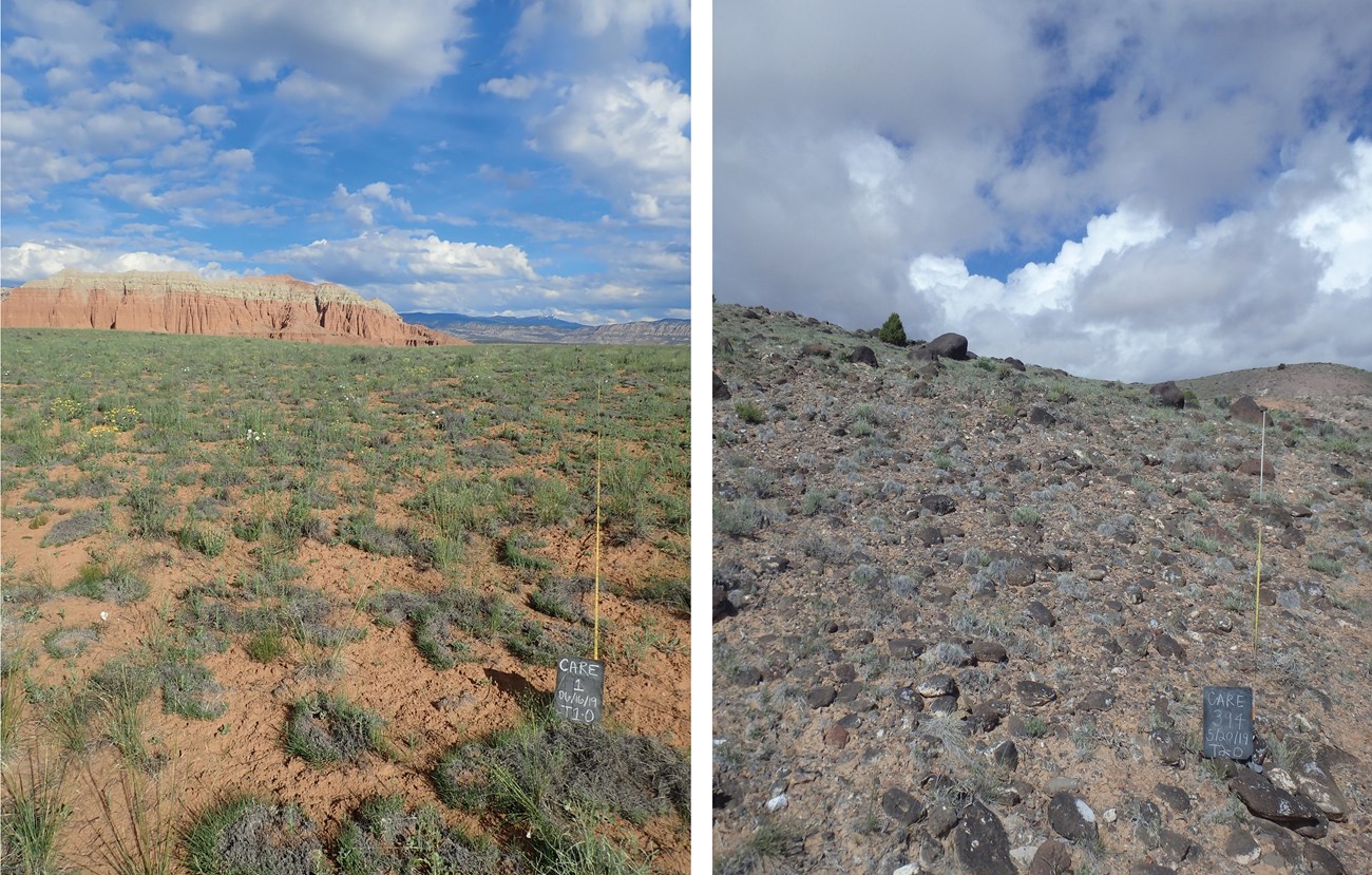 Two images of soils. At left is red soil with bunchgrasses. At right is rocky soil with sparse vegetation.