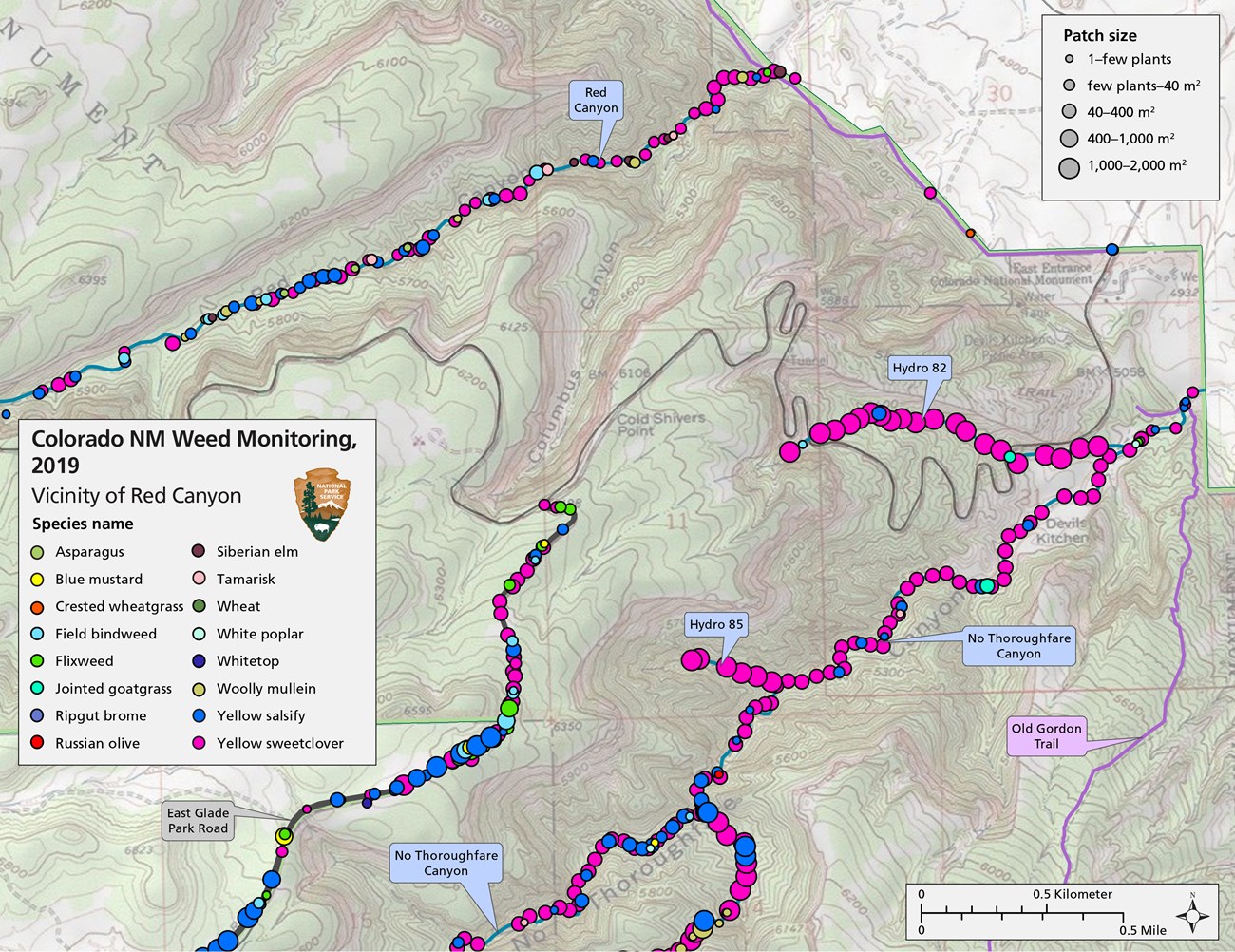 Red Canyon map Topo map of Colorado NM with monitoring routes marked and different-colored circles representing IEP patches of different species and size