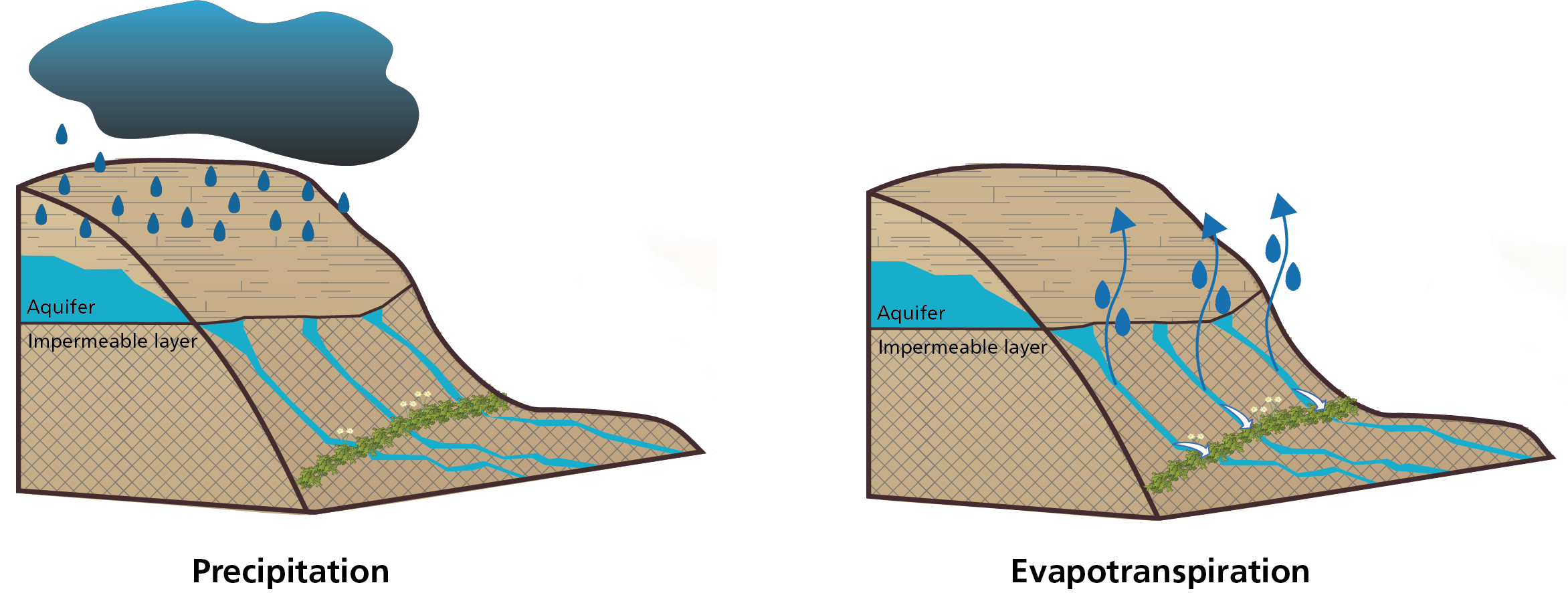 Conceptual diagrams showing precipitation and potential evapotranspiration processes at springs.