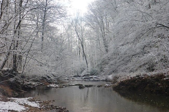 A snowy riverbank at Prince William Forest Park.
