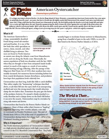 example of a resource brief example of a resource brief