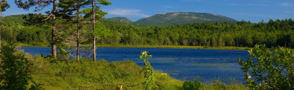 Witch-Hole-Pond_PD_Brent-Danley Acadia's Witch Hole Pond