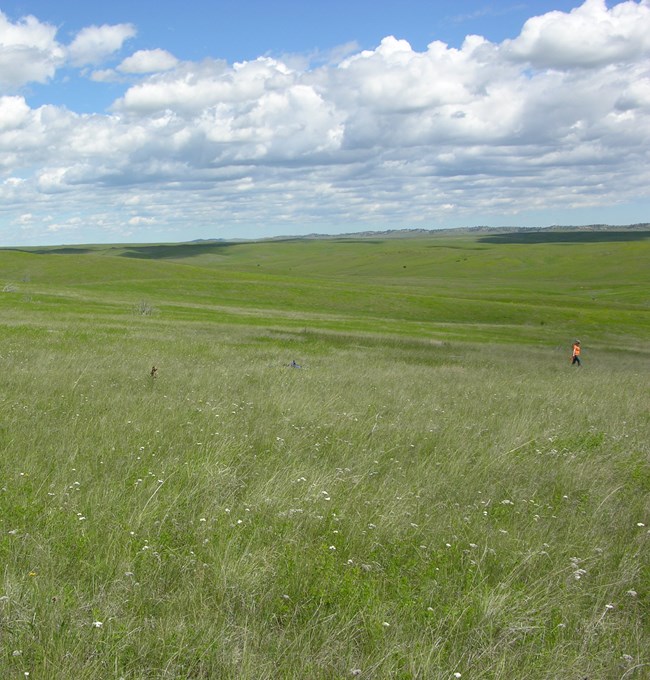 Upland Vegetation and Soils monitoring in Little Bighorn Battlefield National Monument