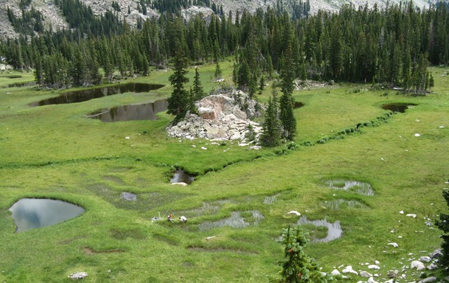 Wetland monitoring in Rocky Mountain National Park