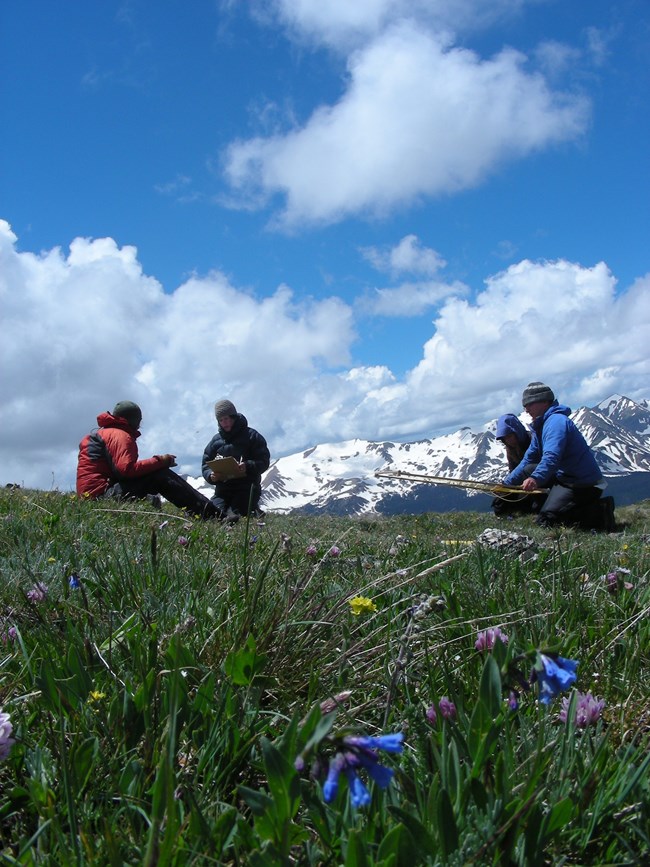 Alpine Vegetation & Soils Monitoring at Rocky Mountain National Park Alpine Vegetation & Soils Monitoring at Rocky Mountain National Park