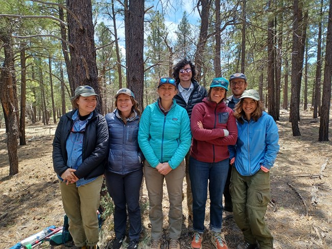 Seven smiling people standing together in pine forest.