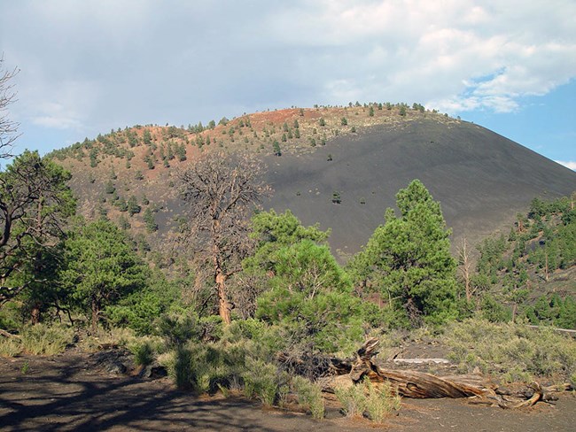 Cinder cone formation with red cinders concentrated at the top. Scattered trees grow in the foreground and on the slopes of the cone.