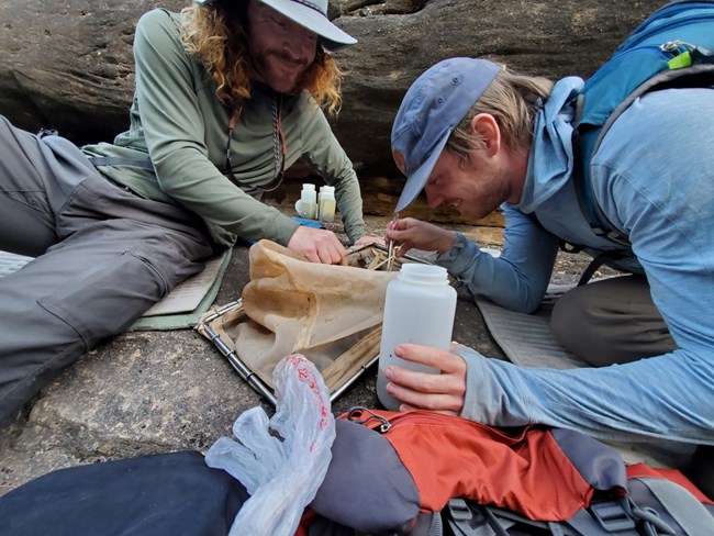 Two people crouched on rock putting insect samples into containers.