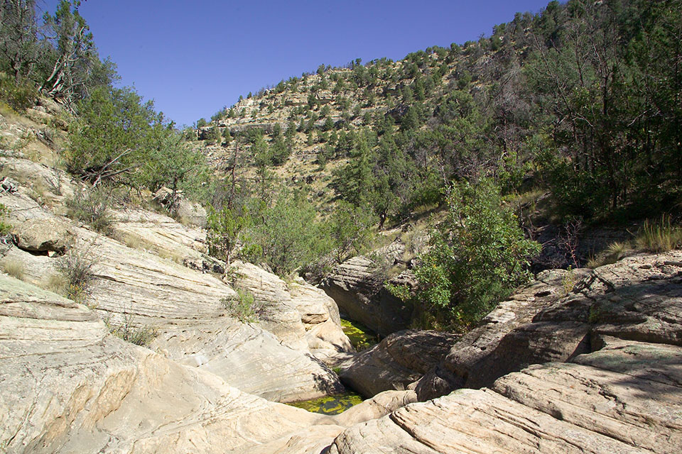 Natural Resources at Walnut Canyon National Monument U.S