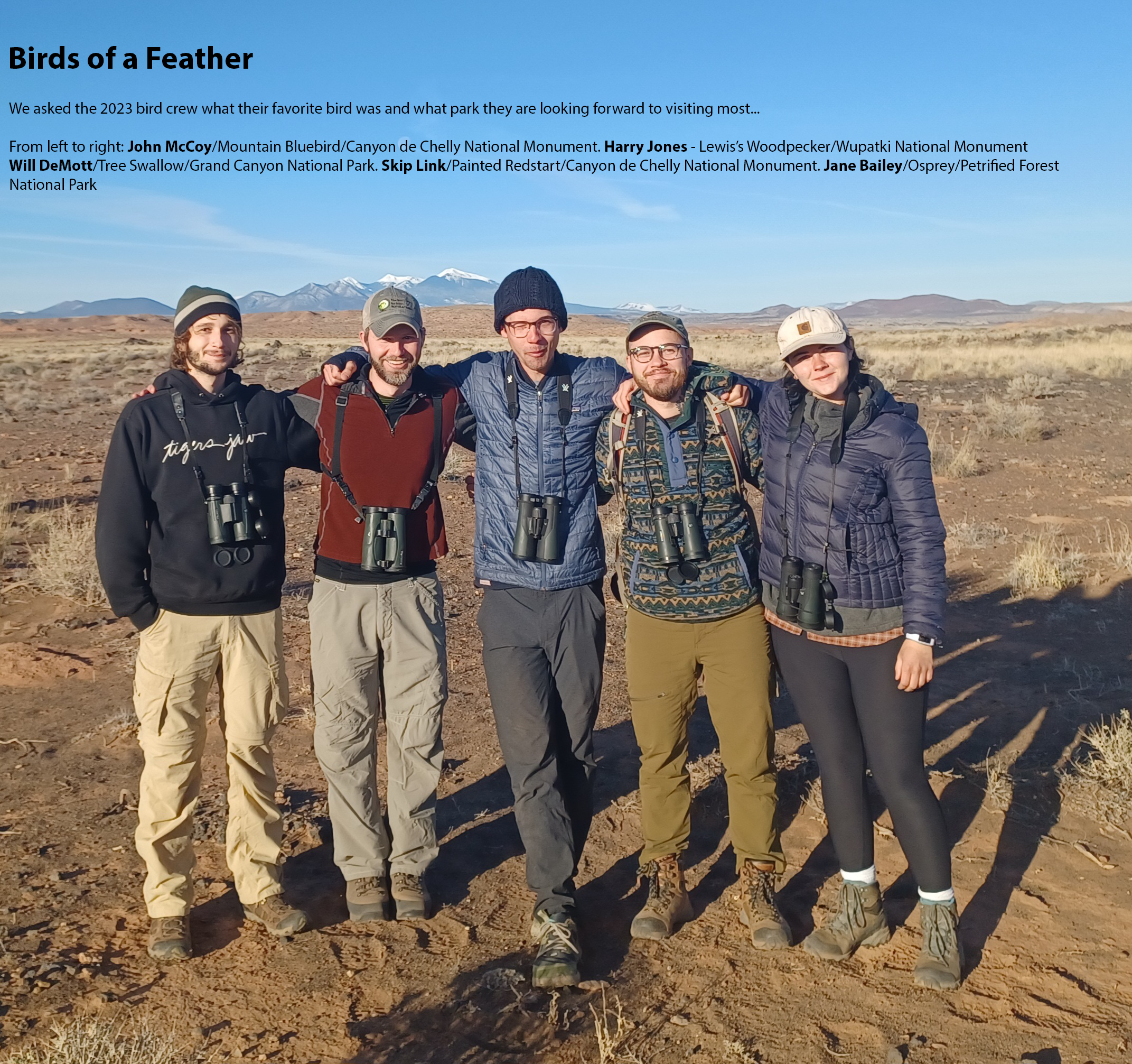 Five people all with binoculars standing in a grassland.