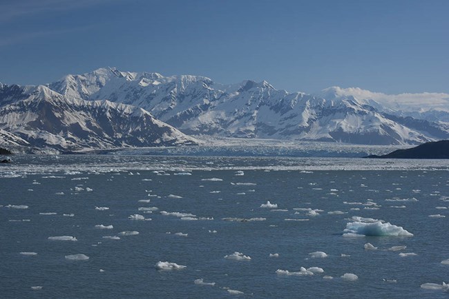 glaciers seen from the outer coast